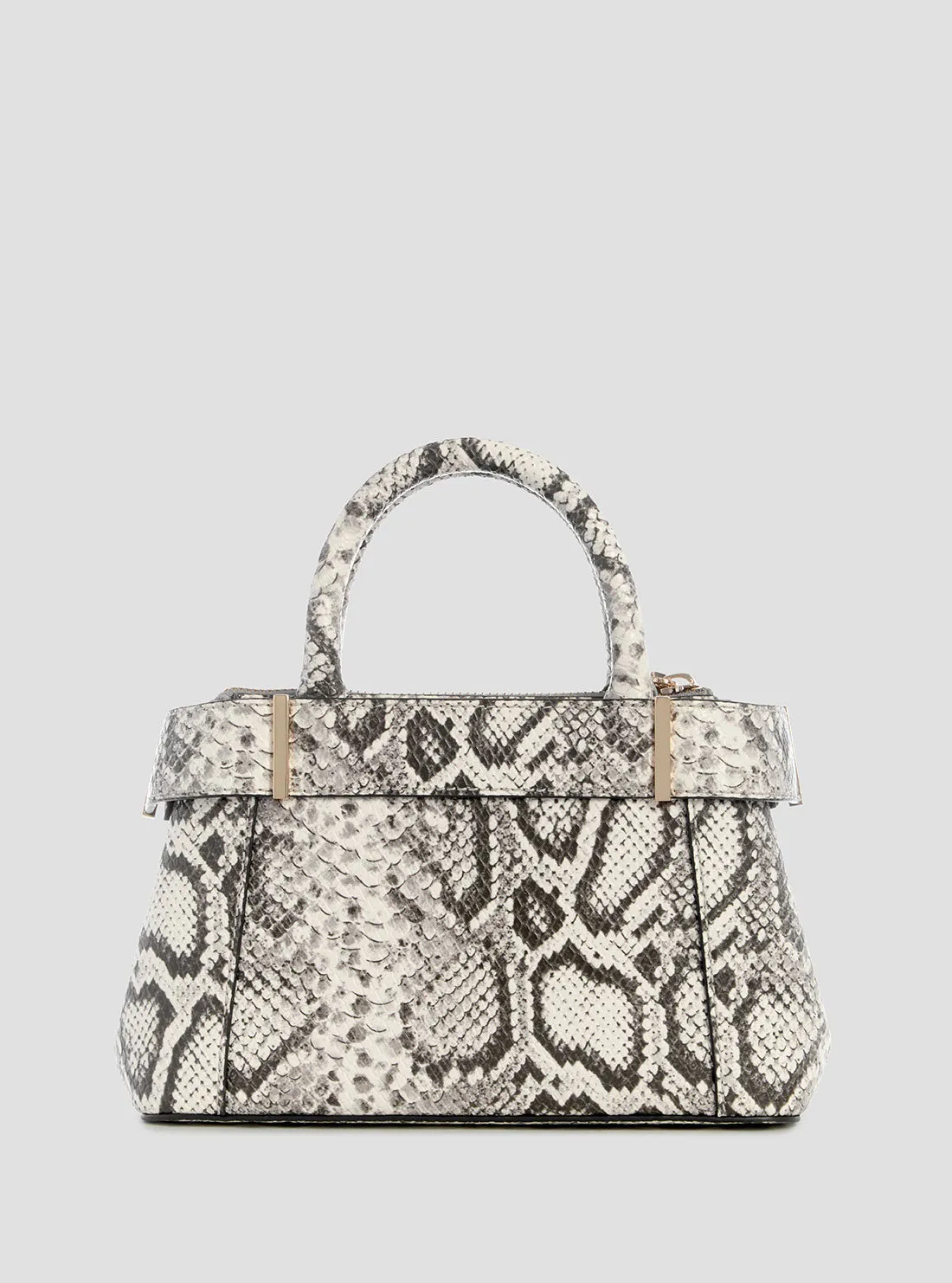 Snake Print Anadela Mini Satchel Bag